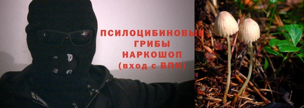индика Баксан