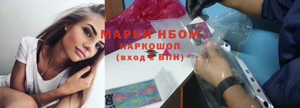 индика Баксан