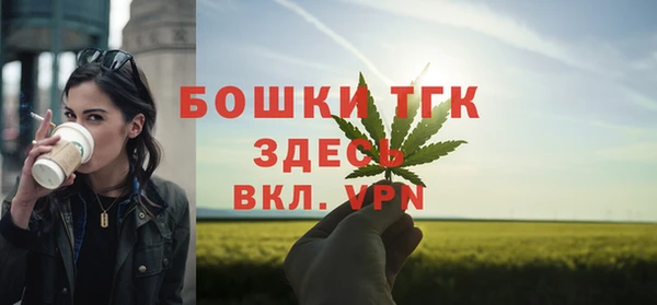 индика Баксан