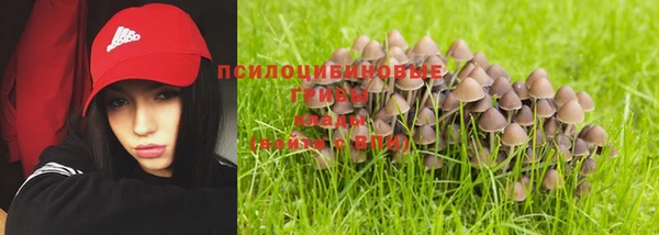 индика Баксан