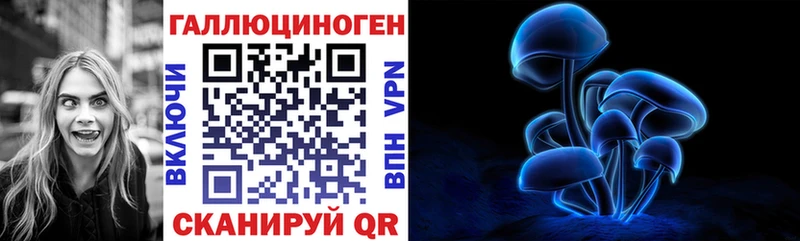 Купить закладки  Плёс  Галлюциногенные грибы мицелий 